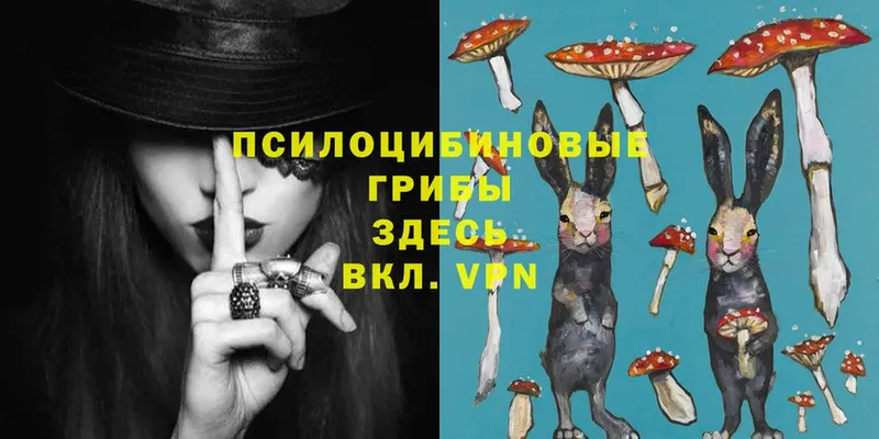 Псилоцибиновые грибы MAGIC MUSHROOMS  купить закладку  ссылка на мегу ссылка  Кумертау 